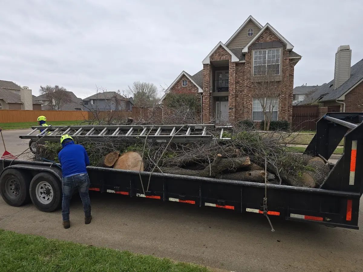 Expert Lot Clearing with proper safety equipment in Blue